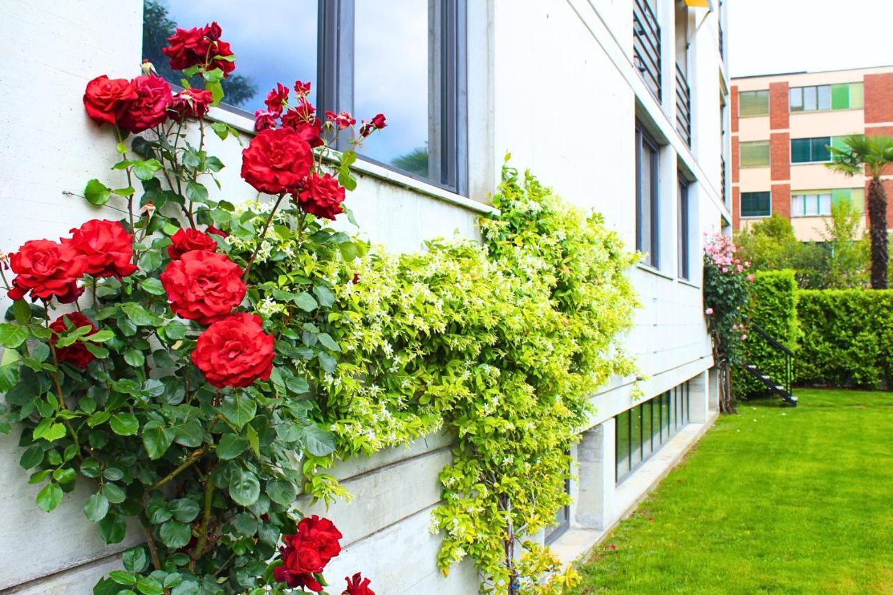 Hotel Nessi لوكارنو المظهر الخارجي الصورة